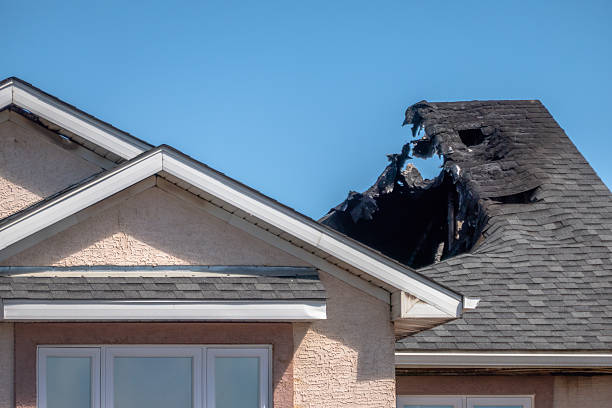 Top rated local Fire Damage Removal specialists in Towson, MD